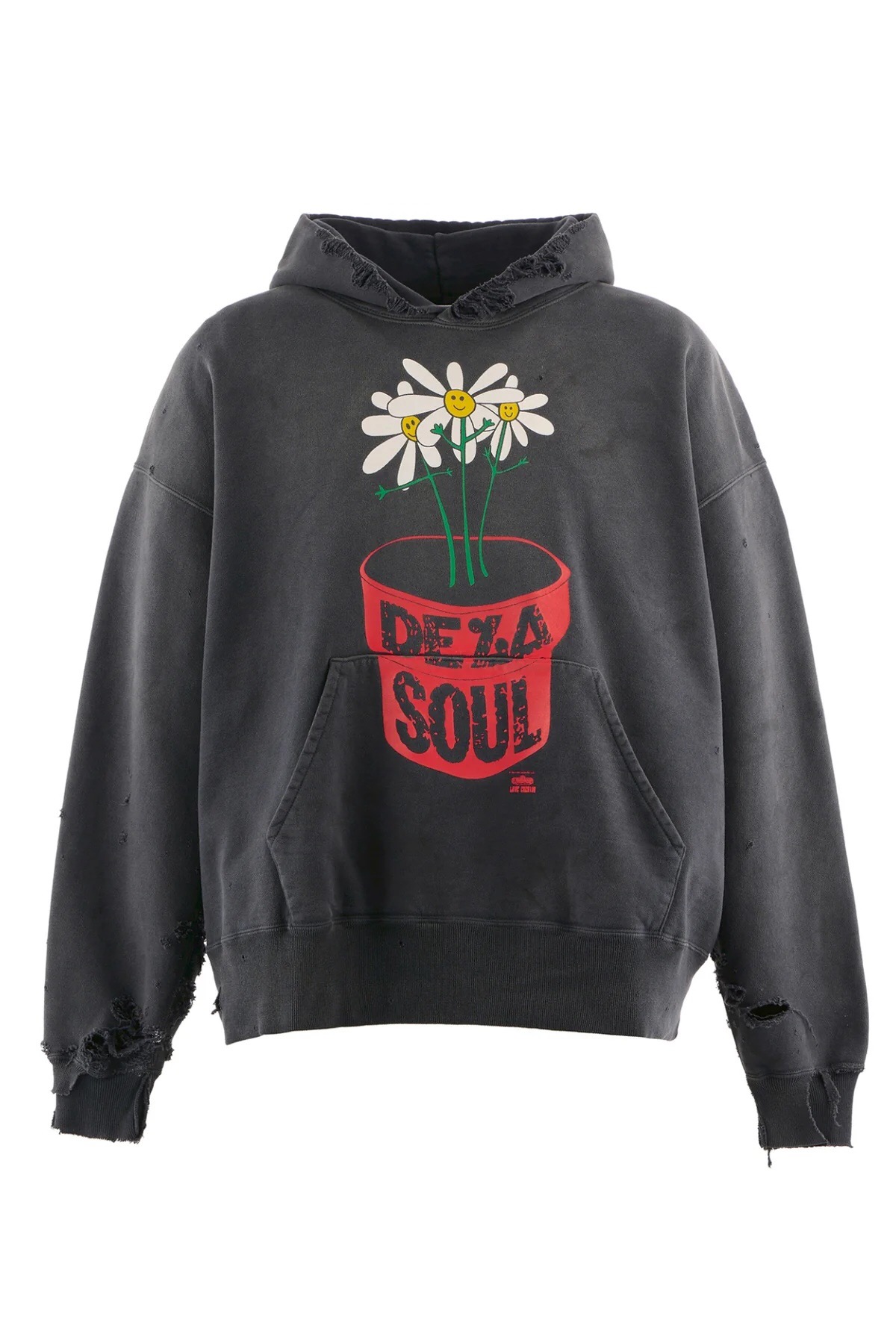 P369 Potted printed vintage hoodie