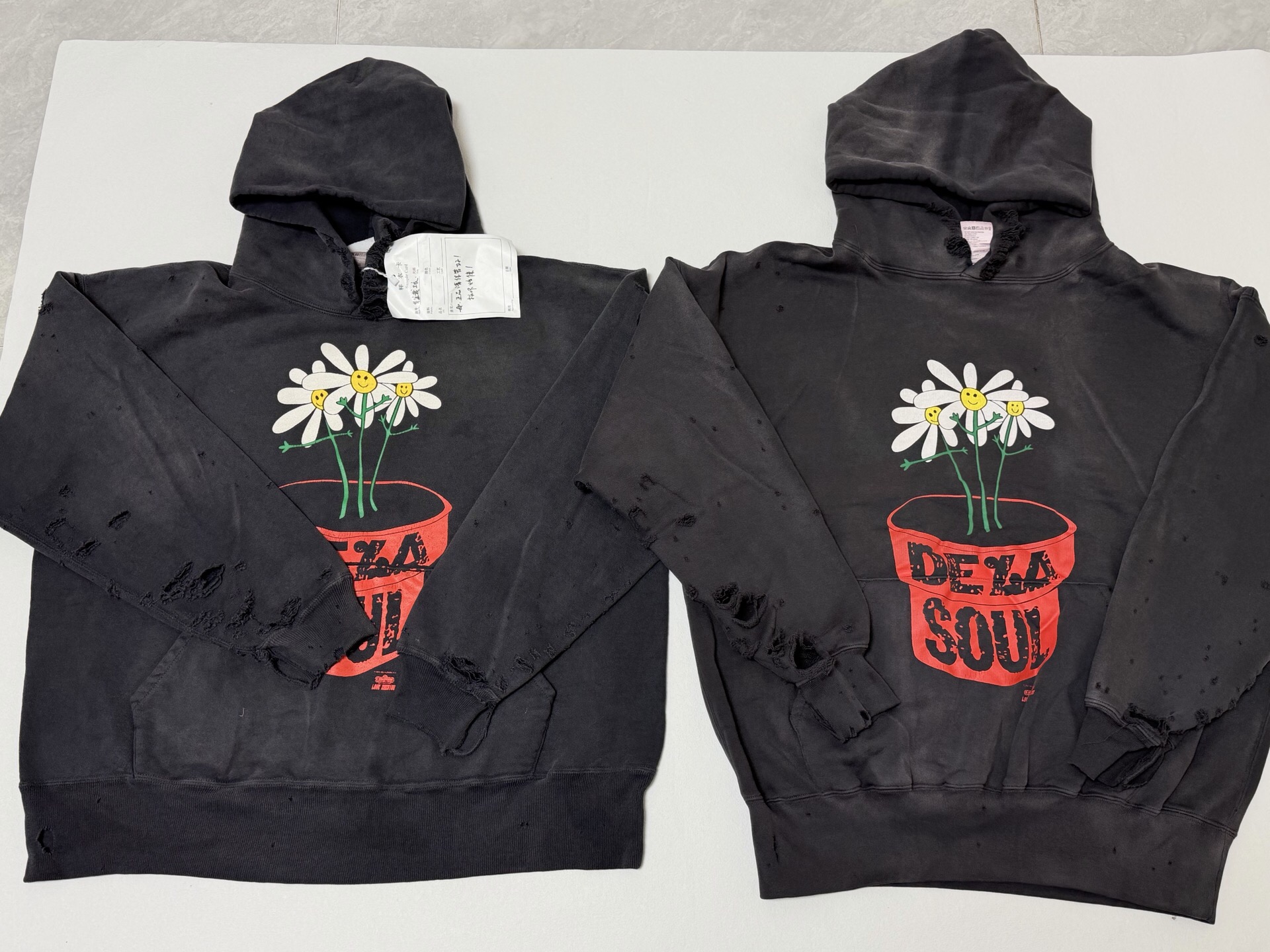 P369 Potted printed vintage hoodie · image 18