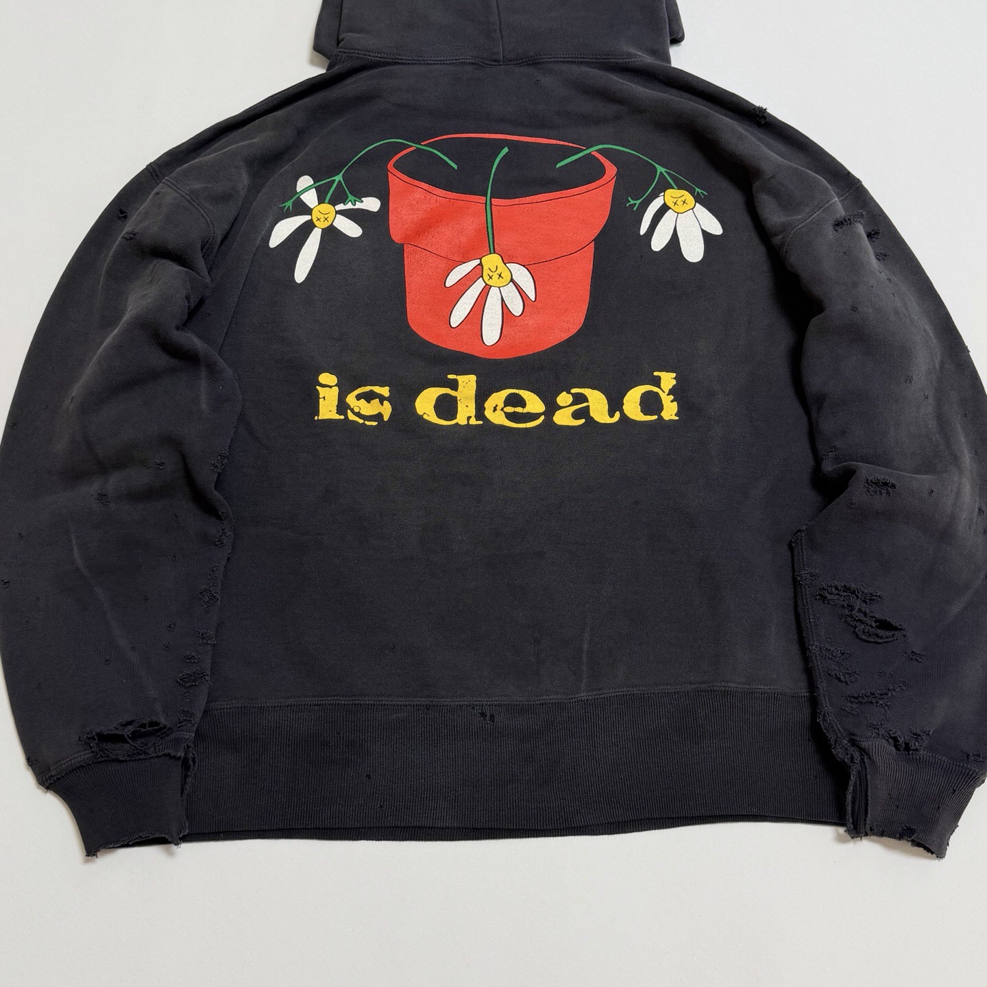 P369 Potted printed vintage hoodie · image 7