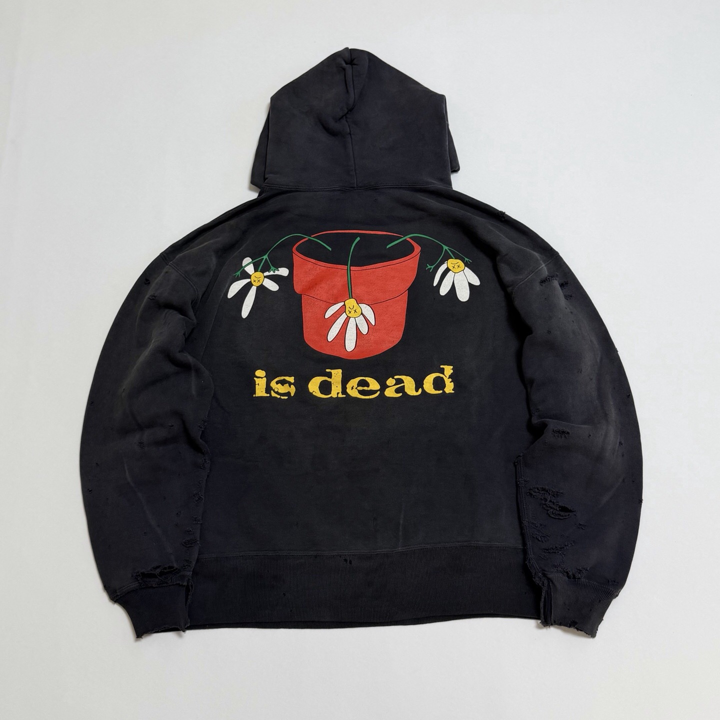 P369 Potted printed vintage hoodie · image 5