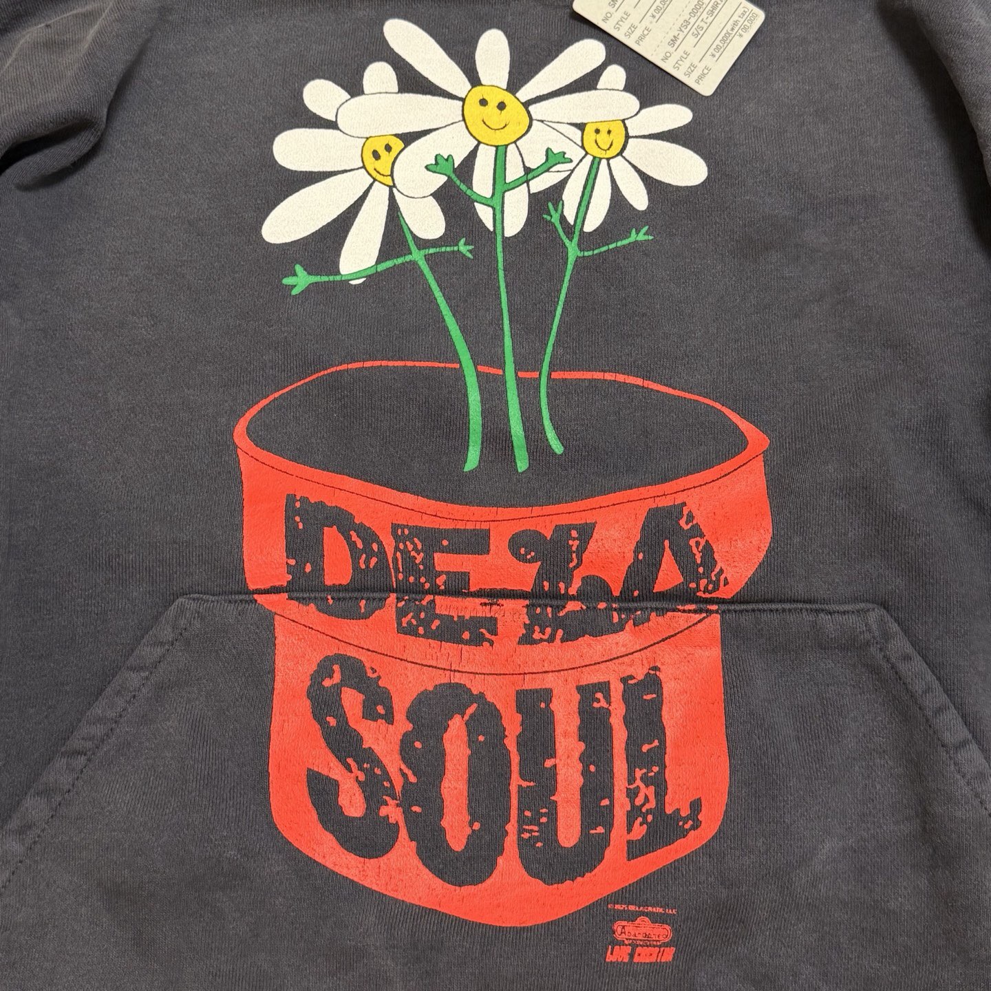 P369 Potted printed vintage hoodie · image 9