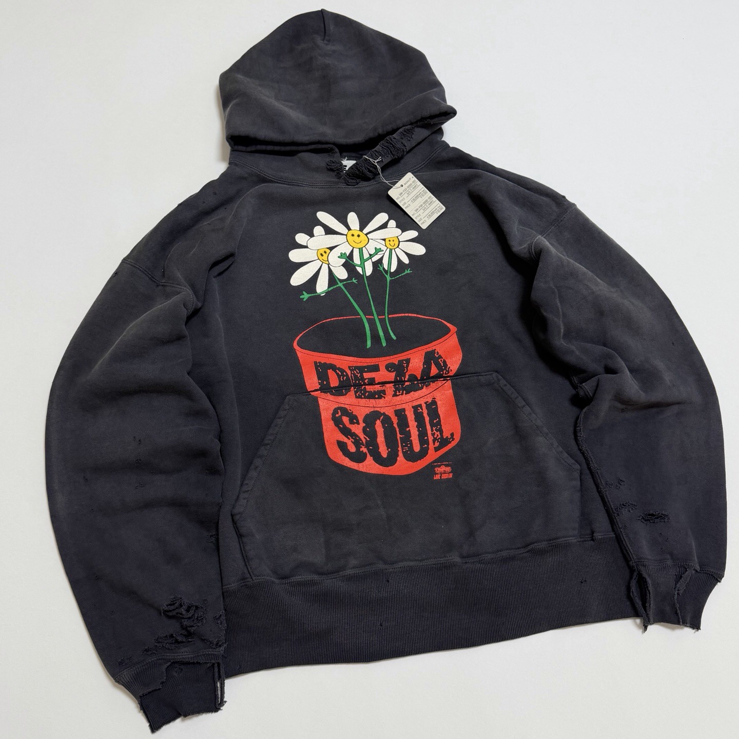 P369 Potted printed vintage hoodie · image 6