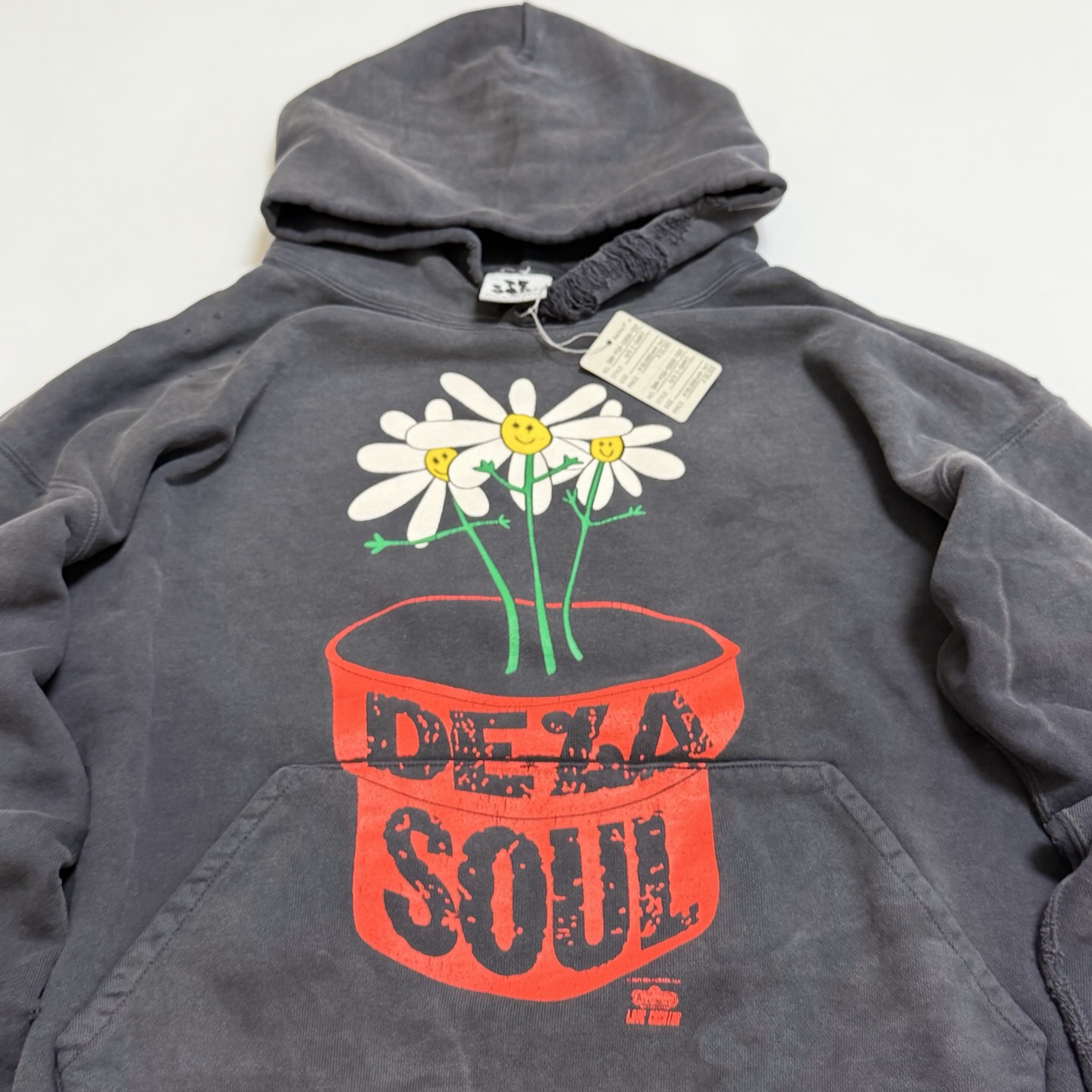 P369 Potted printed vintage hoodie · image 8