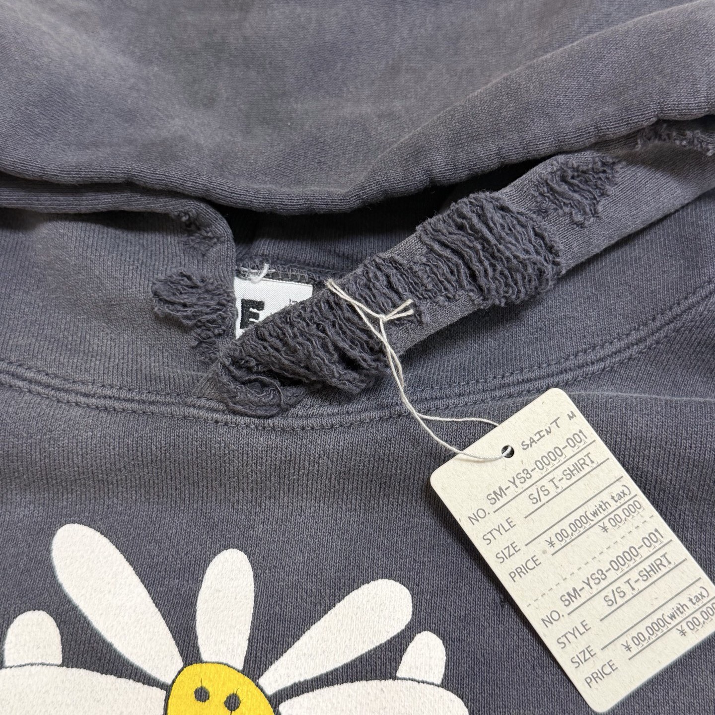P369 Potted printed vintage hoodie · image 11